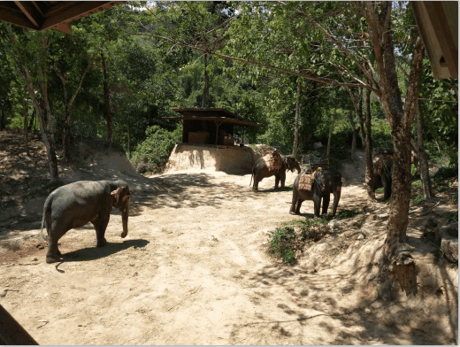 1543313463462161.gif 640.gif