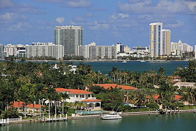 1543462722371407.jpg 640.webp.jpg